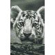 Pixelhobby  802108 Tigris kölyök szett (12,7x20,3cm)