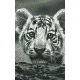 Pixelhobby  802108 Tigris kölyök szett (12,7x20,3cm)