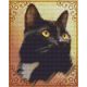 Pixelhobby  804003 Cat Moore (20,3x25,4cm) négy alaplapos szett