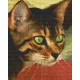 Pixelhobby  804010 Macska 3 (20,3x25,4cm)négy alaplapos szett