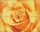 Pixelhobby  804013 Sárga rózsa (25,4x20,3cm) 4 alaplapos szett