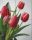 Pixelhobby  804015 Tulipán (20,3x25,4cm) négy alaplapos szett