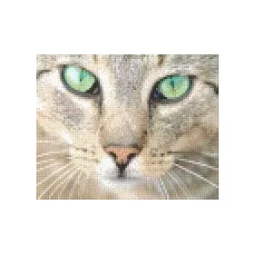   Pixelhobby  804040 Macska pofi (25,4x20,3cm) 4 alaplapos szett