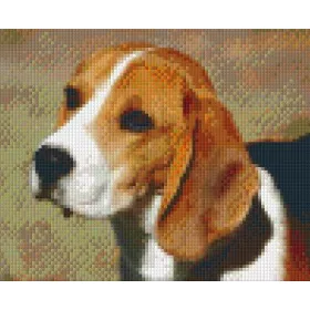 Pixelhobby  804042 Beagle (25,4x20,3cm) 4 alaplapos szett