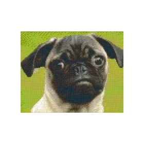 Pixelhobby  804043 Mopsz (25,4x20,3cm) 4 alaplapos szett