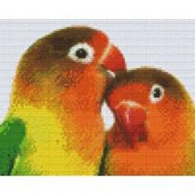 Pixelhobby  804046 Két papagáj (25,4x20,3cm) négy alaplapos szett