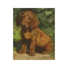 Pixelhobby  804071 Kölyökkutya (20,3x25,4cm)