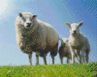 Pixelhobby  804113 Bárányok (25,4x20,3cm) 4 alaplapos szett