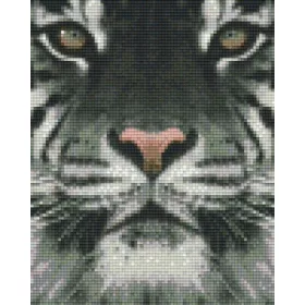 Pixelhobby  804130 Fehér tigris (20,3x25,4cm)
