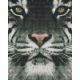 Pixelhobby  804130 Fehér tigris (20,3x25,4cm)