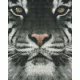 Pixelhobby  804130 Fehér tigris (20,3x25,4cm)