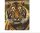 Pixelhobby  804156 Tigris portré (20,3x25,4cm) szett