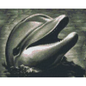   Pixelhobby  804268 Fekete fehér delfin (25,4x20,3cm) 4 alaplapos szett