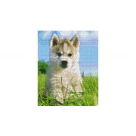   Pixelhobby  804270 Kölyök kutya  (20,3x25,4cm) négy alaplapos szett