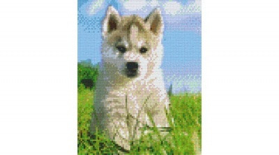 Pixelhobby  804270 Kölyök kutya  (20,3x25,4cm) négy alaplapos szett