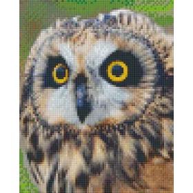 Pixelhobby  804431 Bagoly (20,3x25,4cm) 4 alaplapos szett