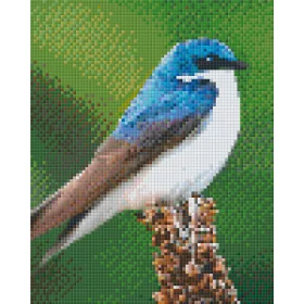   Pixelhobby  804433 Kis madár (20,3x25,4cm) 4 alaplapos szett