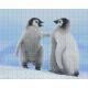 Pixelhobby  804436 Pingvinek (20,3x25,4cm) 4 alaplapos szett