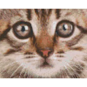 Pixelhobby  804439 Kis cica (25,4x20,3cm) 4 alaplapos szett