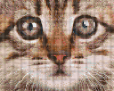 Pixelhobby  804439 Kis cica (25,4x20,3cm) 4 alaplapos szett