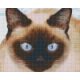 Pixelhobby  804440 Sziámi macska (25,4x20,3cm) 4 alaplapos szett