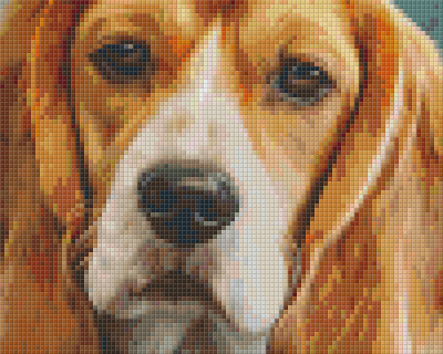 Pixelhobby  804445 Beagle (25,4x20,3cm) 4 alaplapos szett