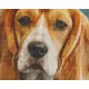 Pixelhobby  804445 Beagle (25,4x20,3cm) 4 alaplapos szett