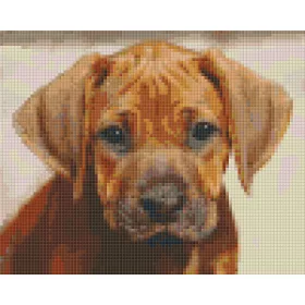   Pixelhobby  804447 Vizsla kölyök (25,4x20,3cm) 4 alaplapos szett