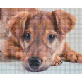   Pixelhobby  804448 Kölyöl kutyus (25,4x20,3cm) 4 alaplapos szett