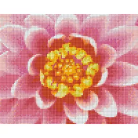Pixelhobby  804449 Virág (25,4x20,3cm) 4 alaplapos szett