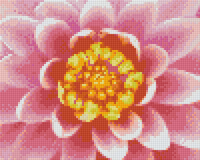 Pixelhobby  804449 Virág (25,4x20,3cm) 4 alaplapos szett