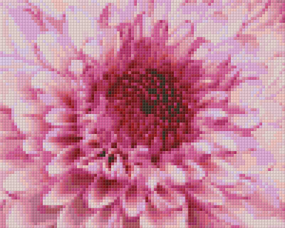 Pixelhobby  804450 Virág (25,4x20,3cm) 4 alaplapos szett