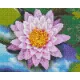 Pixelhobby  804451 Tavirózsa (25,4x20,3cm) 4 alaplapos szett