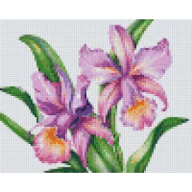 Pixelhobby  804452 Virág (25,4x20,3cm) 4 alaplapos szett
