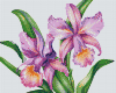 Pixelhobby  804452 Virág (25,4x20,3cm) 4 alaplapos szett
