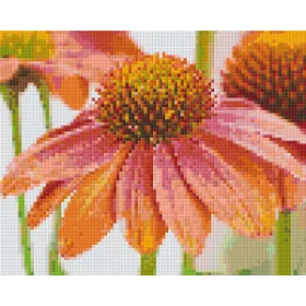 Pixelhobby  804453 Virág (25,4x20,3cm) 4 alaplapos szett