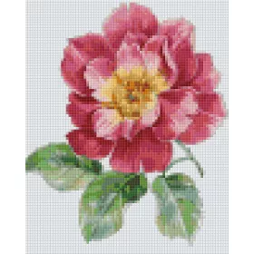 Pixelhobby  804457 Virág (25,4x20,3cm) 4 alaplapos szett