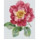 Pixelhobby  804457 Virág (25,4x20,3cm) 4 alaplapos szett