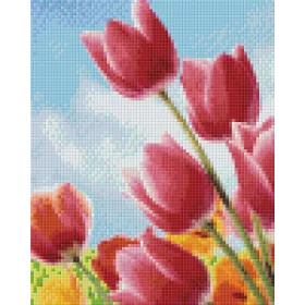   Pixelhobby  804458 Tulipán mező (25,4x20,3cm) 4 alaplapos szett