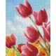 Pixelhobby  804458 Tulipán mező (25,4x20,3cm) 4 alaplapos szett