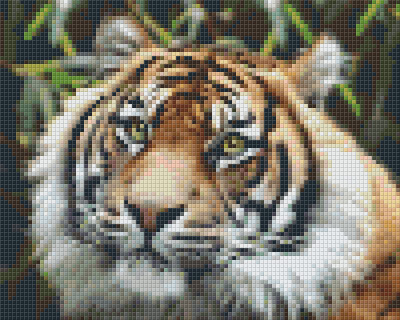 Pixelhobby  804460 Tigris (25,4x20,3cm) 4 alaplapos szett