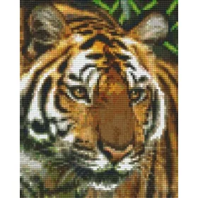   Pixelhobby  804461 Tigris -1 (20,3x25,4cm) négy alaplapos szett
