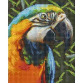   Pixelhobby  804465 Ara papagáj (20,3x25,4cm) 4 alaplapos szett