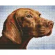 Pixelhobby  804466 Vizsla  (25,4x20,3cm) négy alaplapos szett