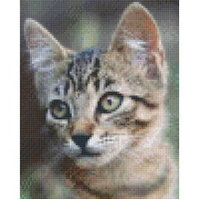 Pixelhobby  804467 Cica (25,4x20,3cm) 4 alaplapos szett