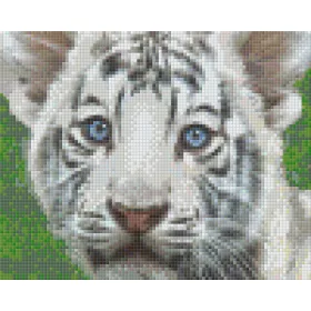   Pixelhobby  804469 Fehér tigris kölyök (25,4x20,3cm) 4 alaplapos szett