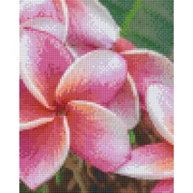 Pixelhobby  804477 Virág (25,4x20,3cm) 4 alaplapos szett
