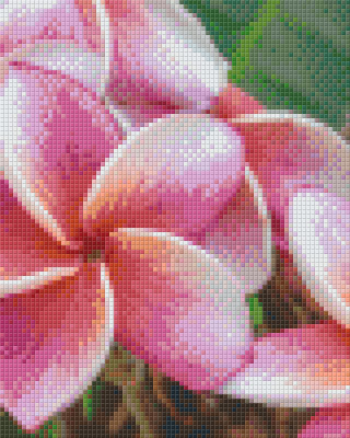 Pixelhobby  804477 Virág (25,4x20,3cm) 4 alaplapos szett