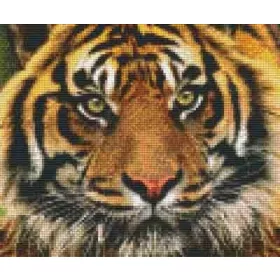 Pixelhobby  806141 Tigris szett 6 alaplapos  (30,5x25,4 cm)