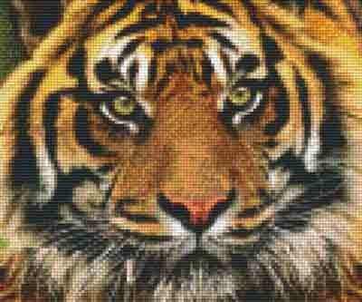 Pixelhobby  806141 Tigris szett 6 alaplapos  (30,5x25,4 cm)